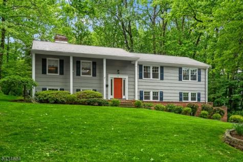 5 Persimmon Way Springfield NJ 07081
