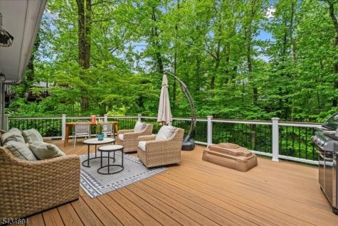 5 Persimmon Way Springfield NJ 07081