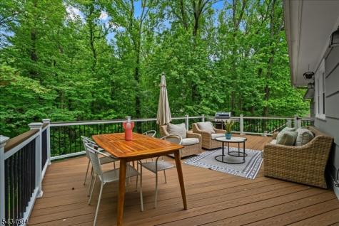5 Persimmon Way Springfield NJ 07081