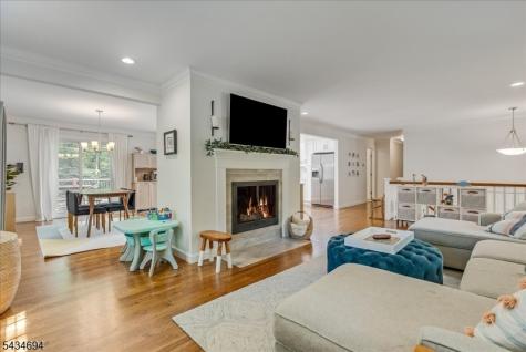 5 Persimmon Way Springfield NJ 07081