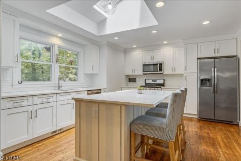 5 Persimmon Way Springfield NJ 07081