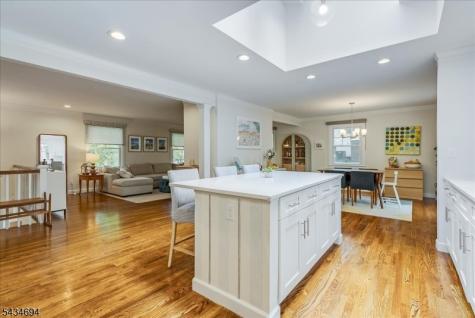 5 Persimmon Way Springfield NJ 07081