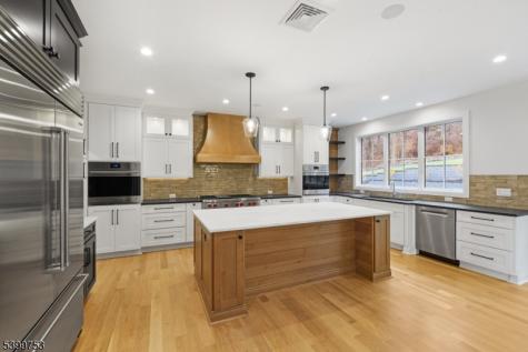 10 Twin Brooks Court Warren NJ 07059