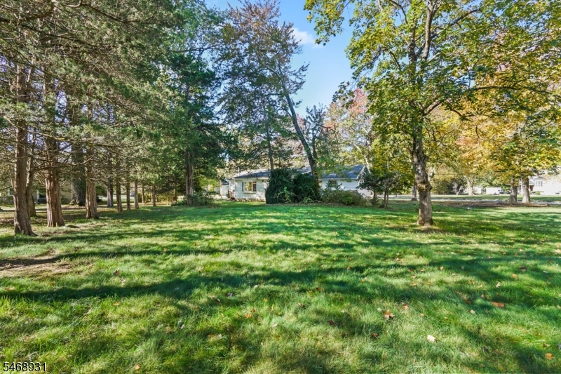 1138 Papen Road Bridgewater NJ 08807