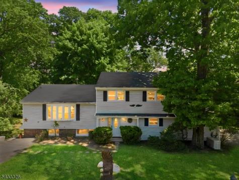 3 Mountain Avenue Rockaway NJ 07866