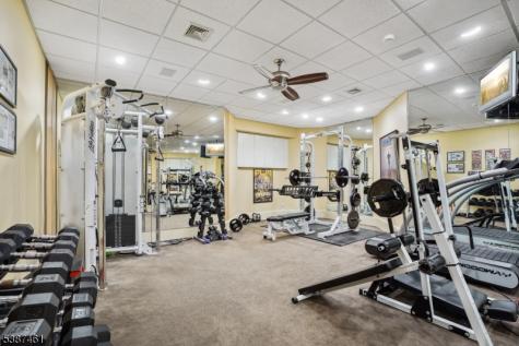 50 Laura Drive Cedar Grove NJ 07009