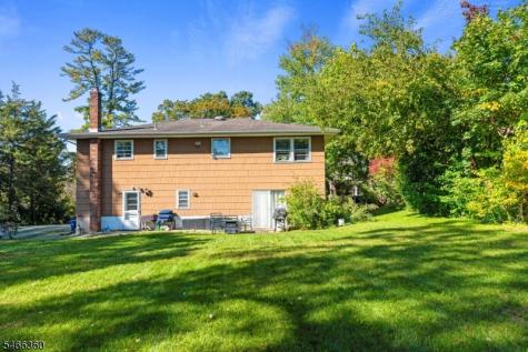 4 Horizon Drive Roxbury NJ 07876
