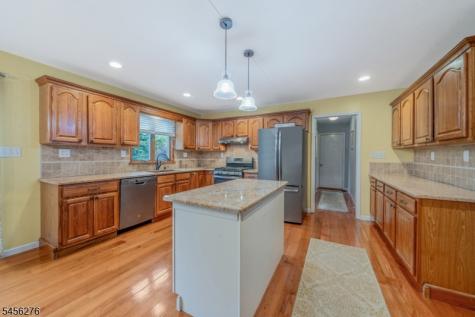 11 Ledgerock Court Parsippany-troy Hills NJ 07950