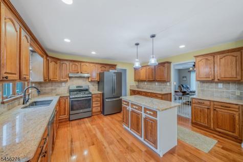 11 Ledgerock Court Parsippany-troy Hills NJ 07950