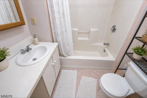 11 Ledgerock Court Parsippany-troy Hills NJ 07950