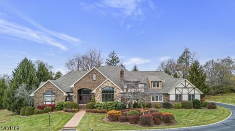 3 Crownview Lane Bernardsville NJ 07924