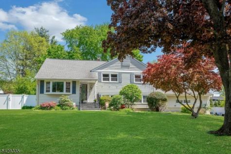 15 Maxine Drive Morris NJ 07960