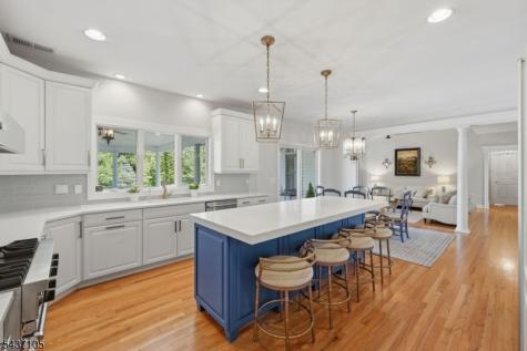 13 Hunters Trail Chester NJ 07930