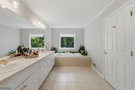 13 Hunters Trail Chester NJ 07930