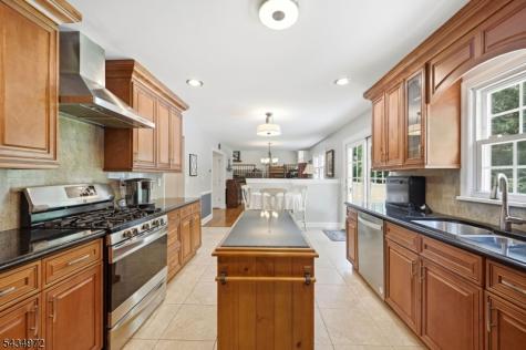 46 Westminster Drive Parsippany-troy Hills NJ 07054