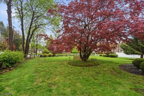 7 Shores Road Mendham NJ 07869