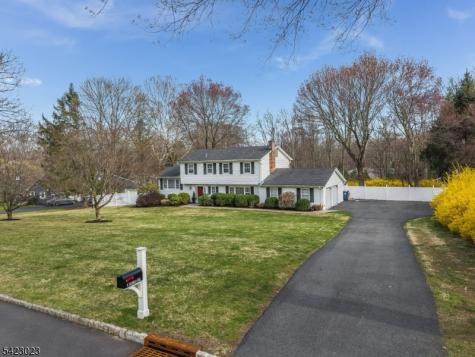 4 Babbitt Road Mendham NJ 07945