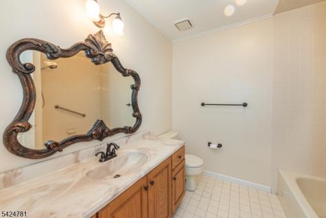 1 Old Timbers Court Roxbury NJ 07847