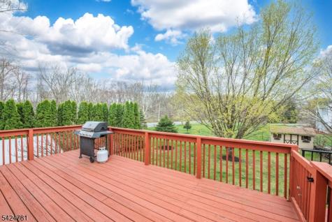 1 Old Timbers Court Roxbury NJ 07847