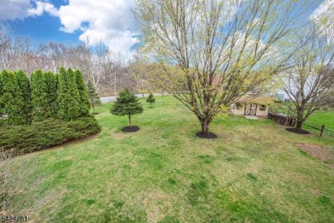 1 Old Timbers Court Roxbury NJ 07847