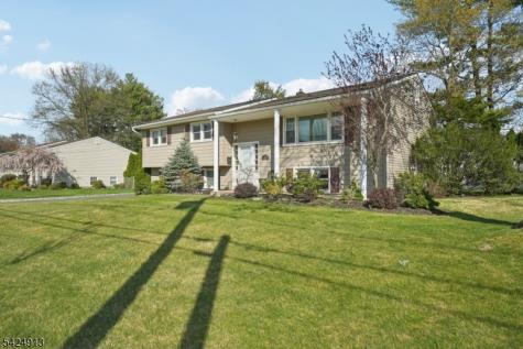 676 Rutgers Place Paramus NJ 07652