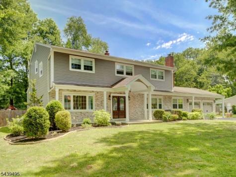 11 Druid Hill Drive Parsippany-troy Hills NJ 07054