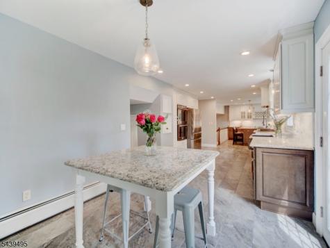 11 Druid Hill Drive Parsippany-troy Hills NJ 07054