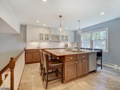 11 Druid Hill Drive Parsippany-troy Hills NJ 07054