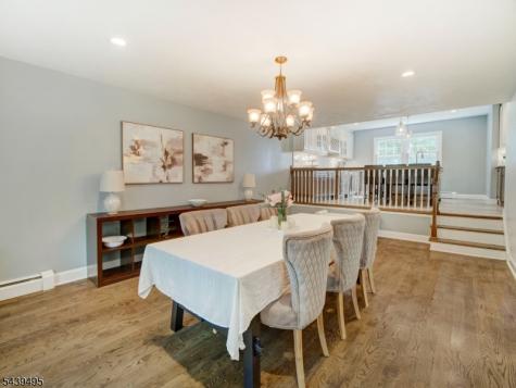 11 Druid Hill Drive Parsippany-troy Hills NJ 07054