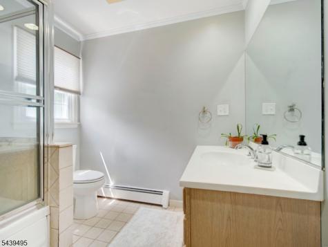 11 Druid Hill Drive Parsippany-troy Hills NJ 07054