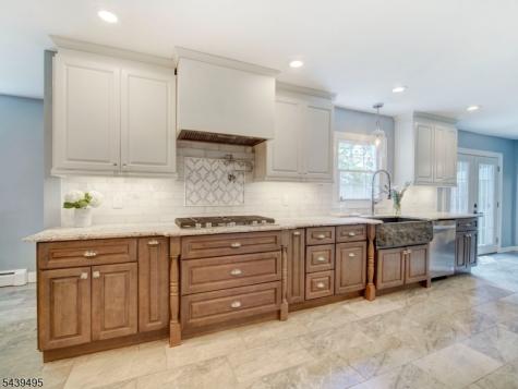 11 Druid Hill Drive Parsippany-troy Hills NJ 07054