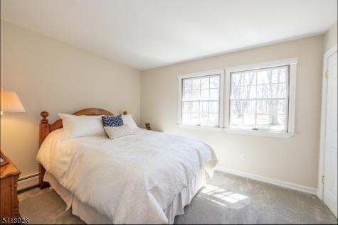 9 Buckhaven Trail Hardyston NJ 07460