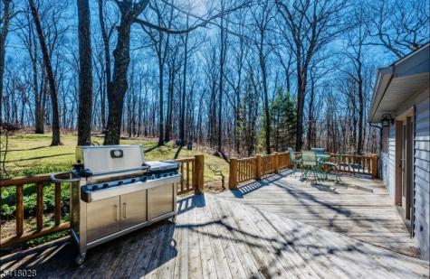 9 Buckhaven Trail Hardyston NJ 07460