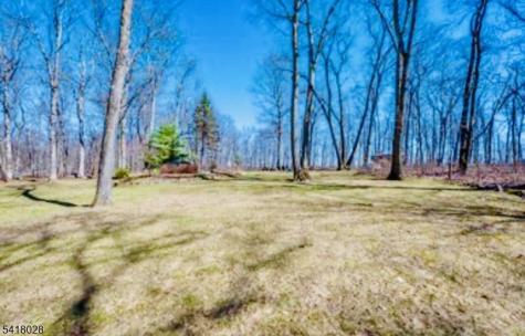 9 Buckhaven Trail Hardyston NJ 07460