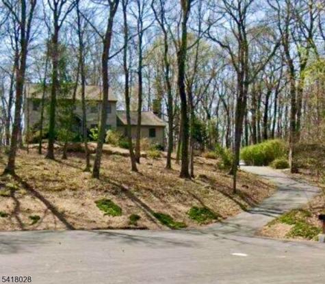 9 Buckhaven Trail Hardyston NJ 07460