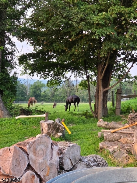 46 Mount Hermon Road Blairstown NJ 07825