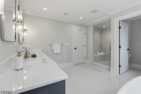 2 Whitman Drive Chatham NJ 07928