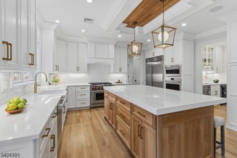 2 Whitman Drive Chatham NJ 07928