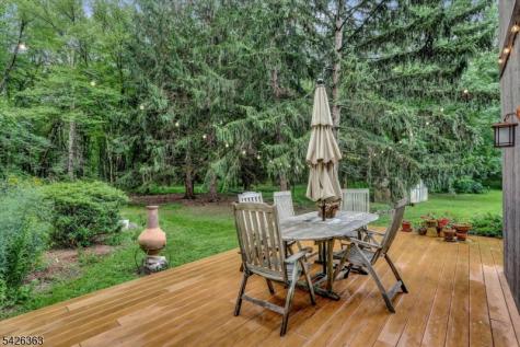 10 Crestview Drive Hopewell NJ 08525