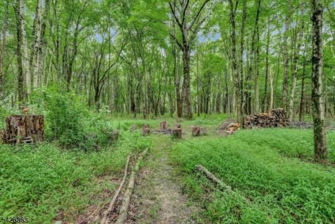 10 Crestview Drive Hopewell NJ 08525