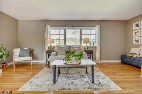 7 Beekmeer Place Mount Olive NJ 07836