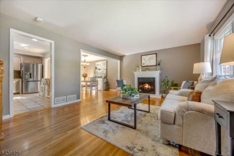 7 Beekmeer Place Mount Olive NJ 07836
