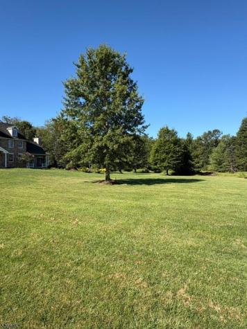 15 Opdyke Road Kingwood NJ 08825