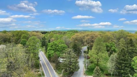 295 County Road 579 Bethlehem NJ 08804
