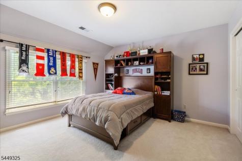 2 Scenic Hills Court Montgomery NJ 08502