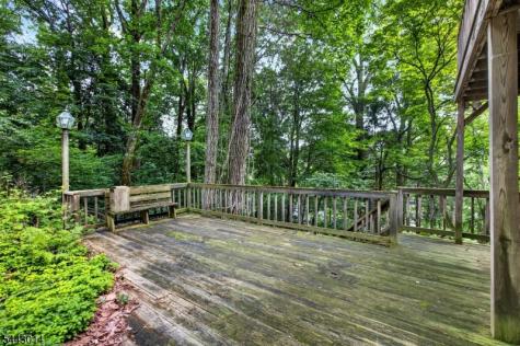 1 Hillside Avenue Liberty NJ 07823
