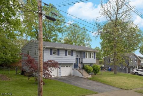 10 Birch Drive Newton NJ 07860