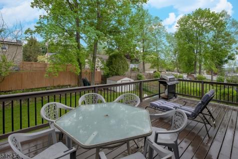 10 Birch Drive Newton NJ 07860