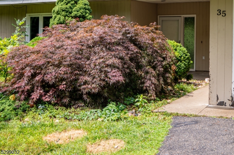 35 Glenwood Drive Montville NJ 07045