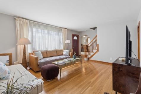 9 Laurel Avenue Franklin NJ 08528
